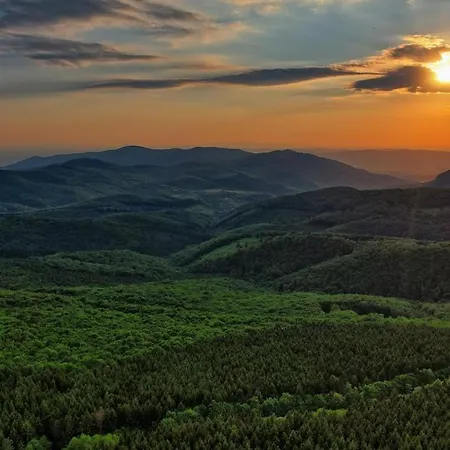 Διαμέρισμα Matraforrest *