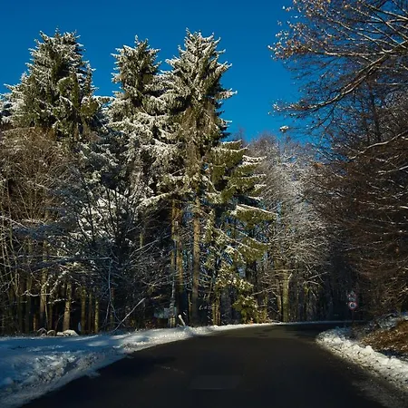 Matraforrest דירה *