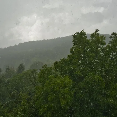 Matraforrest Matraszentistvan