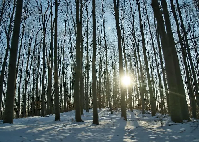 Matraforrest Apartment *