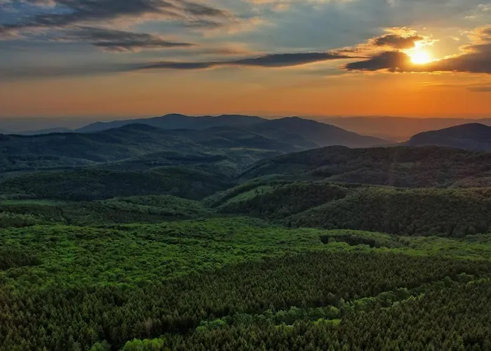 Apartment Matraforrest *