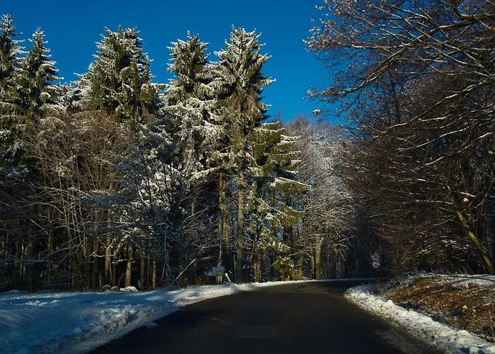 Matraforrest Lägenhet *
