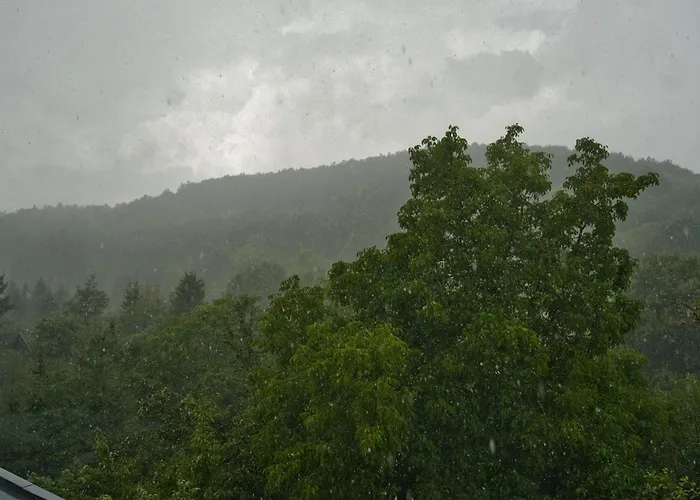 Matraforrest Matraszentistvan